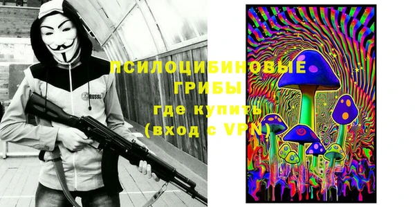 альфа пвп Дмитровск