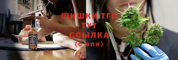 мяу мяу мука Дмитриев