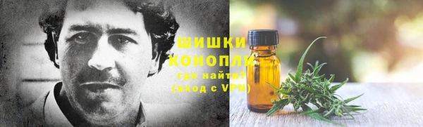 мяу мяу мука Дмитриев