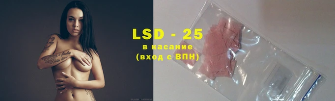 альфа пвп Дмитровск