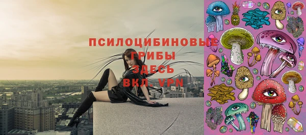 ПСИЛОЦИБИНОВЫЕ ГРИБЫ Дмитров