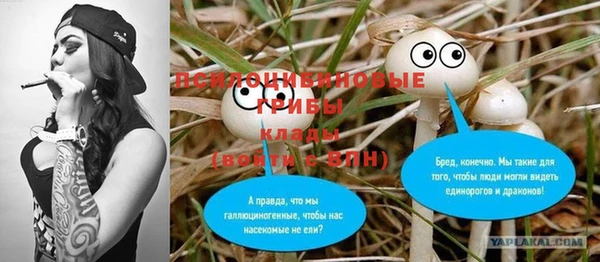ПСИЛОЦИБИНОВЫЕ ГРИБЫ Гусь-Хрустальный