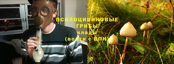ПСИЛОЦИБИНОВЫЕ ГРИБЫ Дмитров