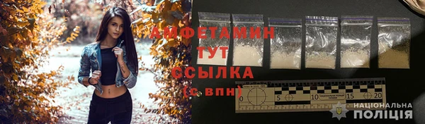 мяу мяу мука Дмитриев