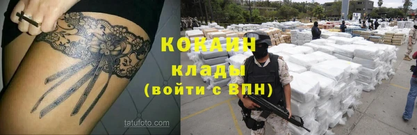 альфа пвп Дмитровск