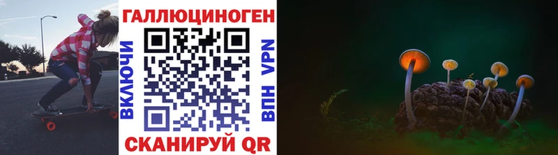Галлюциногенные грибы MAGIC MUSHROOMS  где найти   Нязепетровск 
